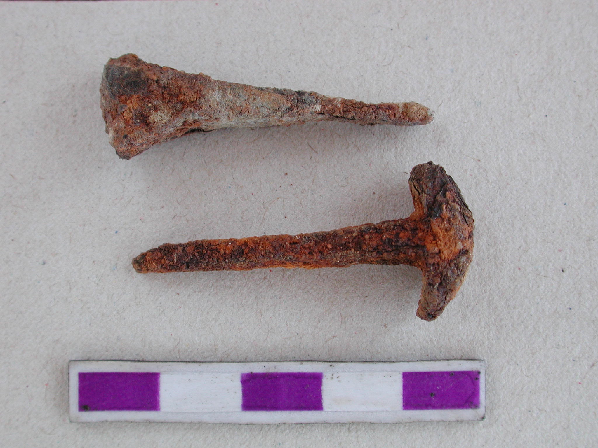 Clavos encontrados durante la investigación arqueológica